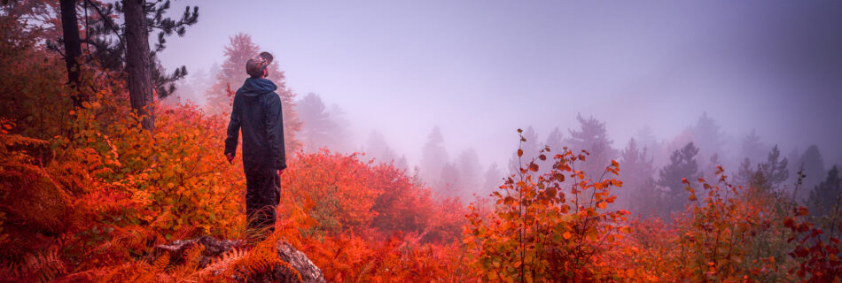 Autumn Fog in the Mountains