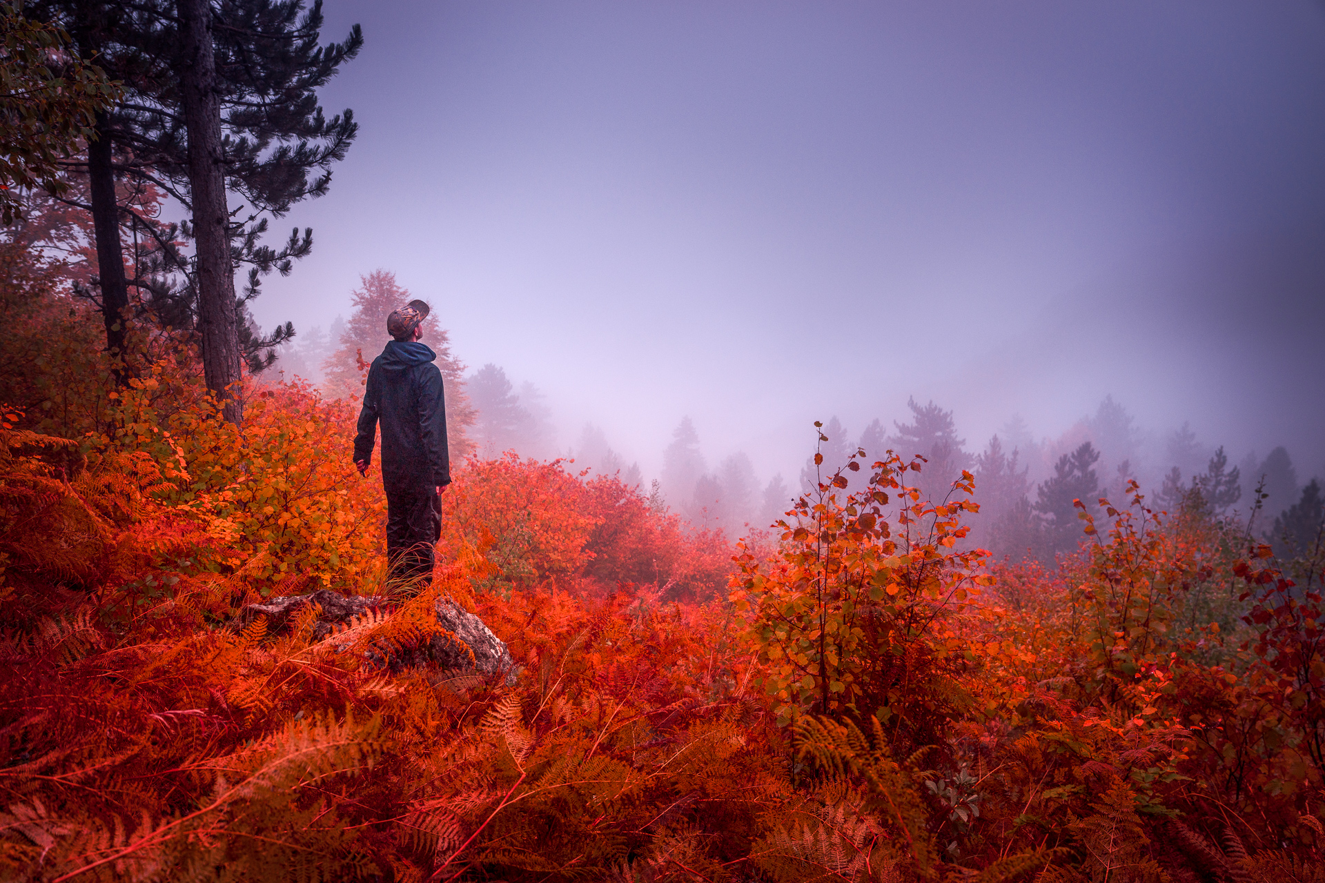 Autumn Fog in the Mountains