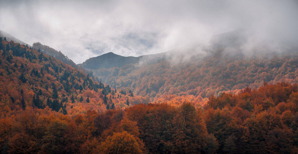 Autumn Forest and Mountains at Prespa National Park - Drone Shot - North Macedonia - Photography Road Trip in the Balkans