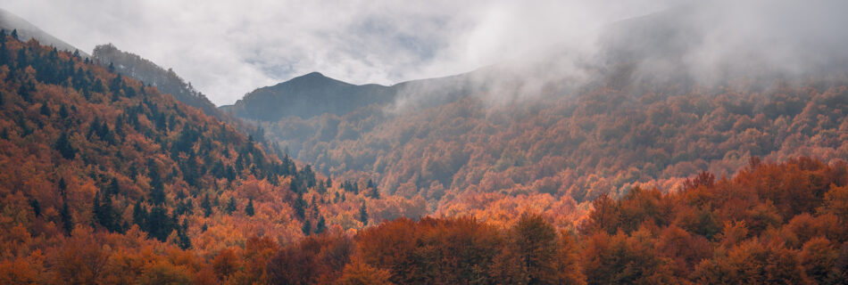 Autumn Forest and Mountains at Prespa National Park - Drone Shot - North Macedonia - Photography Road Trip in the Balkans