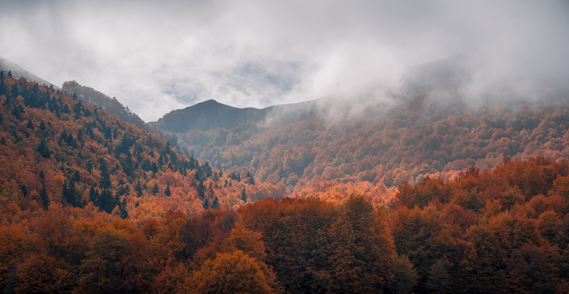 Autumn Forest and Mountains at Prespa National Park - Drone Shot - North Macedonia - Photography Road Trip in the Balkans