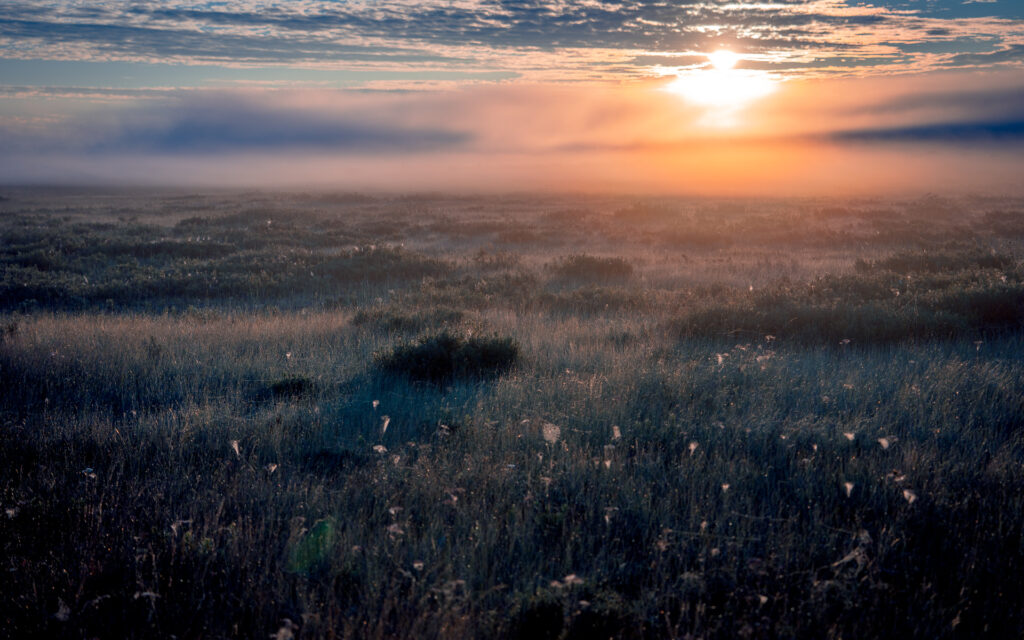 Sunrise View over Bog from Bird Tower - Store Mosse National Park - Småland Sweden