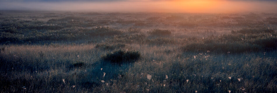 Sunrise View over Bog from Bird Tower - Store Mosse National Park - Småland Sweden