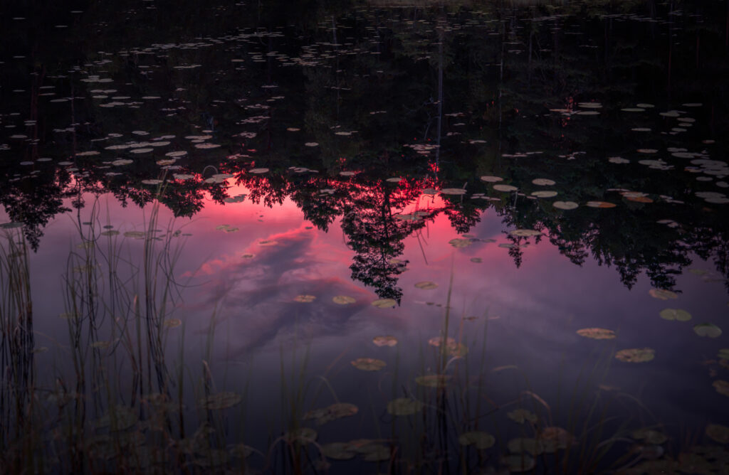 Sunset Lake Reflection at Stora Idgölen - Ancient old-growth forest - Norra Kvill National Park - Småland Sweden