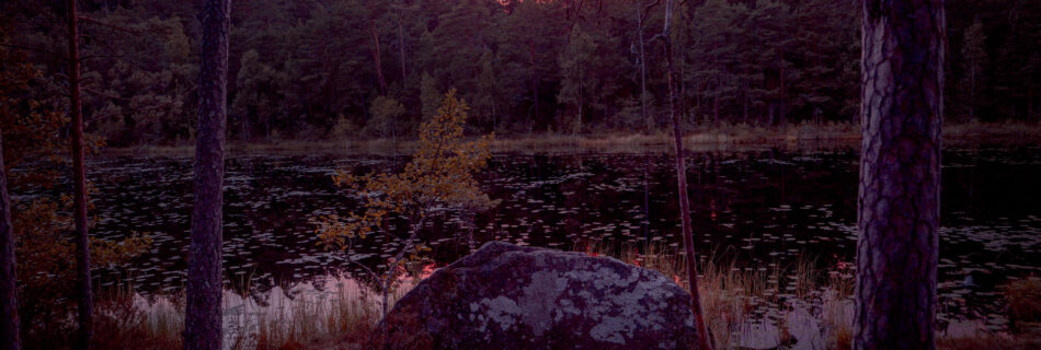 Sunset at Stora Idgölen - Ancient old-growth forest - Norra Kvill National Park - Småland Sweden