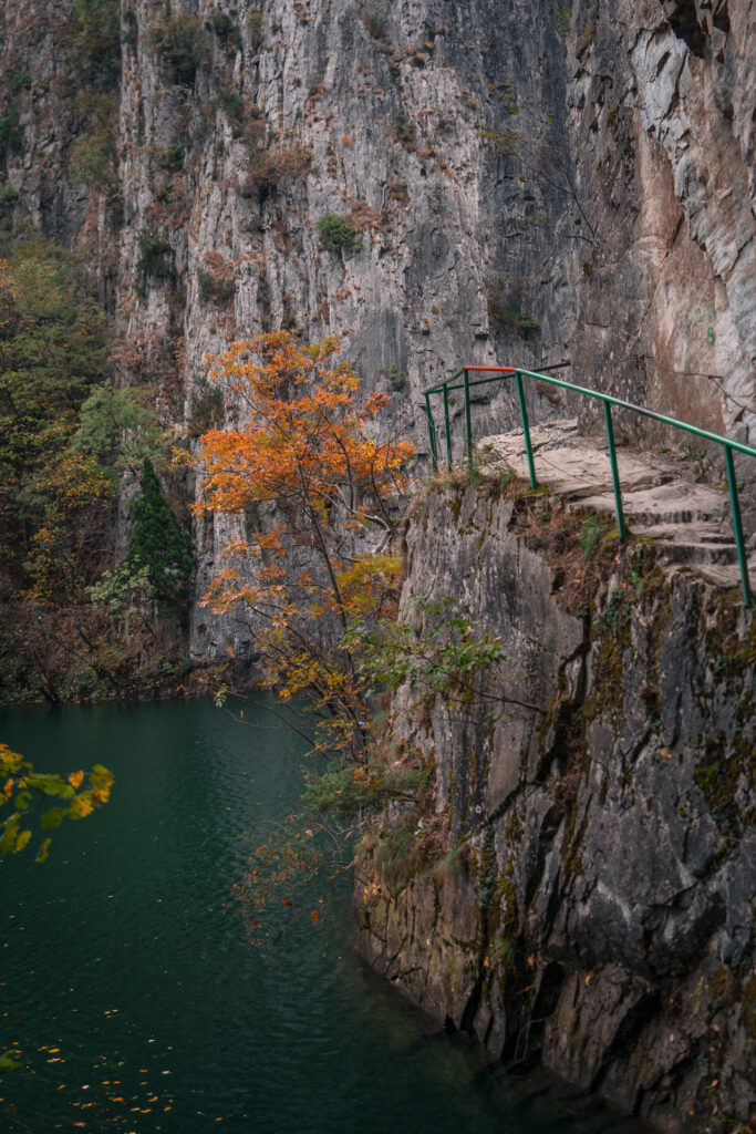 Trail and Tree above River at Matka Canyon Trail - National Park - North Macedonia - Photography Road Trip in the Balkans