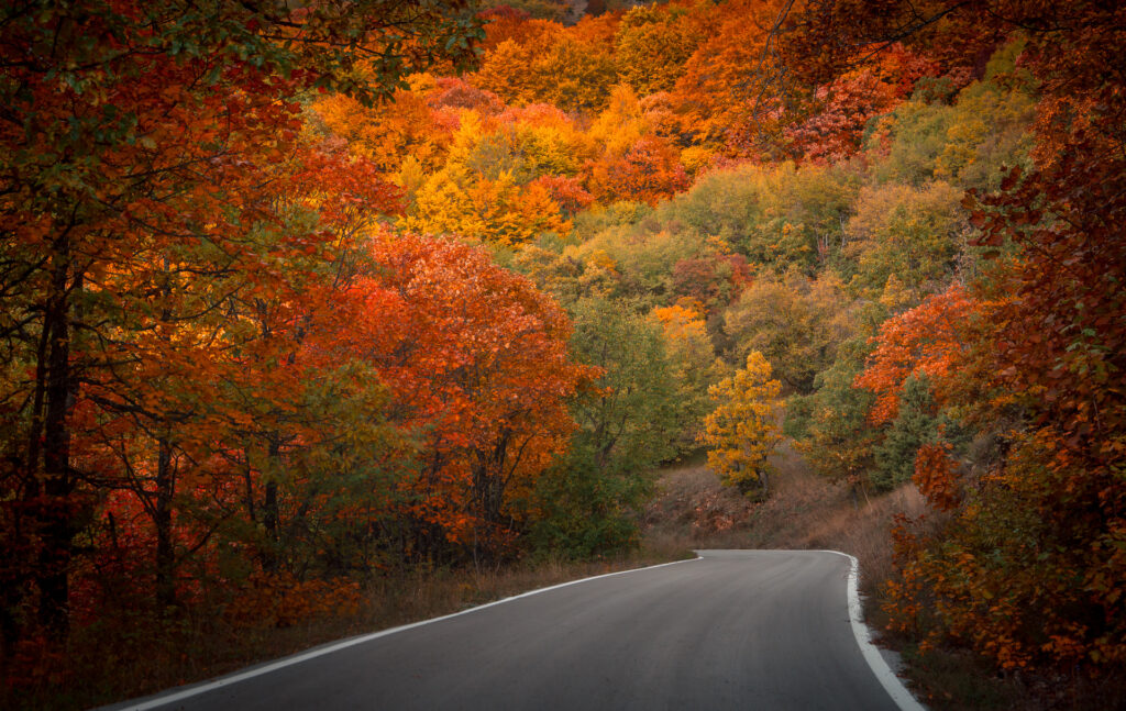 Winding Road in Autumn at Prespa National Park - North Macedonia - Photography Road Trip in the Balkans